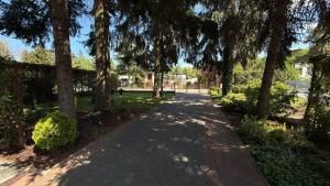 a brick walkway with trees and bushes in a park at Pod Świerkami in Boszkowo