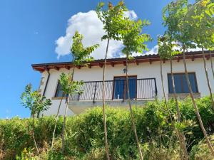 Zahrada ubytování Abruzzo Borgo