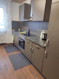 Kuchyň nebo kuchyňský kout v ubytování Unterkunft REHBERG Zimmer III