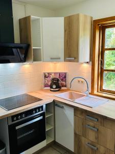 a kitchen with a sink and a stove at Fördefarm-Natura in Westerholz
