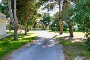 a tree lined road with a lot of trees at Hotel Villaggio Aurora in San Pietro in Bevagna