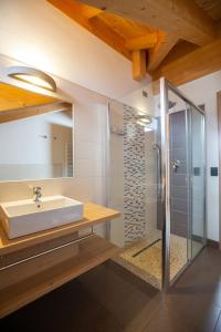 a bathroom with a sink and a shower at Engadina Chalet in Livigno