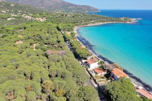 Příroda nedaleko luxury tent