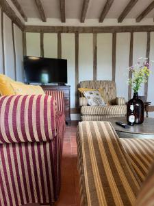 a living room with two chairs and a tv at Park Farm in Thornham Magna +24 photos