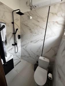 a white bathroom with a toilet and a shower at Sion Residence in Debrecen +19 photos
