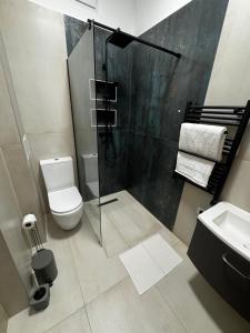 a bathroom with a shower and a toilet and a sink at Sion Residence in Debrecen