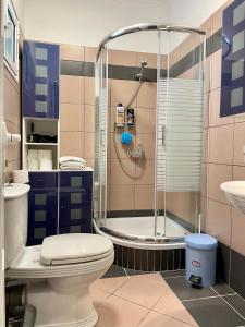 a bathroom with a shower and a toilet and a sink at Kassopia Serenity Place in Lefkimmi