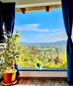 a window with two potted plants in a room at Casa De Sub Padure in Bran