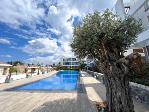 a tree next to a swimming pool in a building at Olive Hill 14 Cozy 2-Bed Garden Apt by HolidayKeys in Kérynia