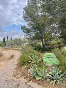 Fotografia z galérie ubytovania Paraiso Bell Tent v destinácii Tortosa