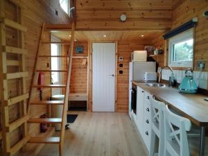a kitchen with a ladder in a tiny house at Bracken Heights in Newark-on-Trent