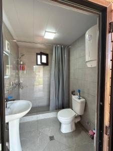 a bathroom with a toilet and a sink and a shower at Villa Obcha - Whispering Vines Guesthouse in Bagdatʼi +69 photos
