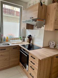Kuchyň nebo kuchyňský kout v ubytování U Tonyho - Apartmán v centru Strakonice 2-kk