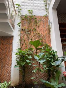 eine Wand mit Pflanzen vor einem Gebäude in der Unterkunft Moc Nhien homestay in Phước Hậu (1)