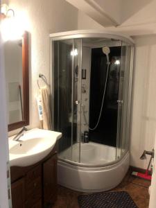 a bathroom with a shower and a sink at Alfredo Apartament in Buzau +6 photos