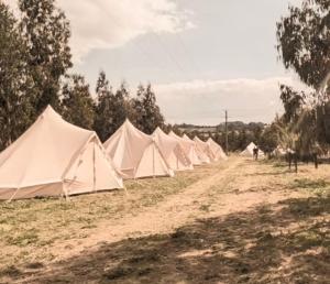 a row of white tents on a dirt road at Unwind Camping in Evercreech