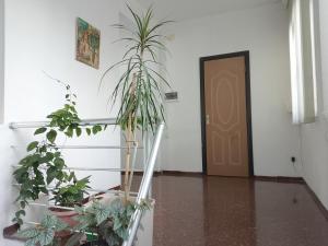 a hallway with potted plants in front of a door at Jesis Batumi in Batumi