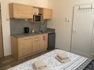 Kuchyň nebo kuchyňský kout v ubytování Apartmán u Dejva Zaječí