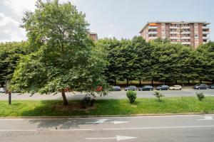 a tree sitting on the side of a street at [Reni House]-Bright apartment+free park in Turin