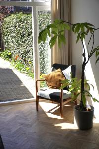 Zahrada ubytování 't Onderhuis in Delft