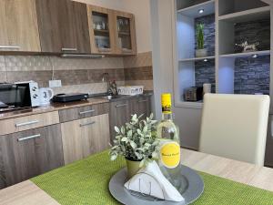Kuchyňa alebo kuchynka v ubytovaní Silver Apartman