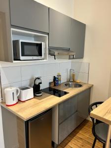 a kitchen with a counter with a microwave and a sink at Studio au centre ville de Dole in Dole
