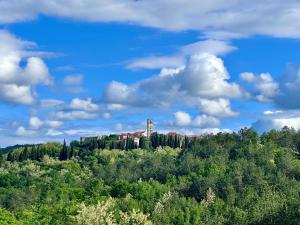 a building on top of a hill with trees at Santa Lucia App in Oprtalj