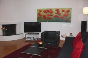 TV a/nebo společenská místnost v ubytování Charming flat, near lake - FB9