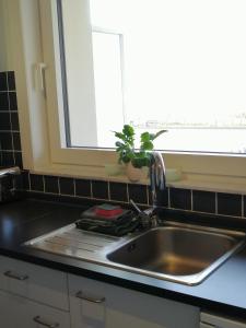 a kitchen sink with a plant in the window at Zee en Strand in De Panne +35 photos