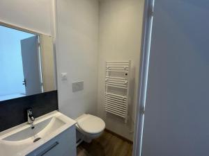 a bathroom with a toilet and a sink and a mirror at Aux Primevères in Saint-Honoré-les-Bains +8 photos