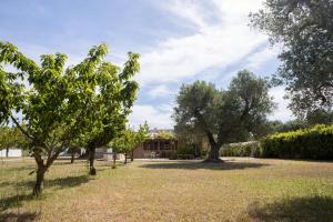 A garden outside trullo degli ulivi con piscina e vasca per bambini