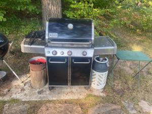 ein Grill und ein Picknicktisch neben einem Baum in der Unterkunft Soludden in Raseborg