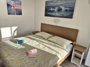Postel nebo postele na pokoji v ubytování Apartman i sobe Martina