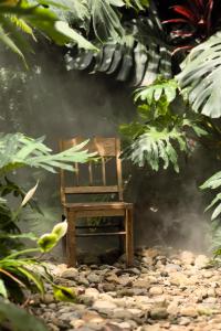 Fotografie z fotogalerie ubytování Thỏ Non Garden - Bảo Lộc Center 02 v destinaci Bao Loc