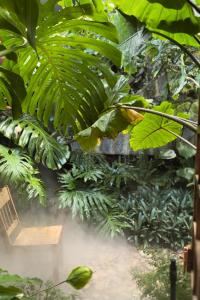 Zahrada ubytování Thỏ Non Garden - Bảo Lộc Center 02