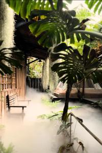 Vườn quanh Thỏ Non Garden - Bảo Lộc Center 02