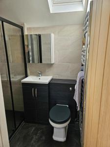 a small bathroom with a toilet and a sink at The Woottons Barn with Hot Tub in Croxden +22 photos