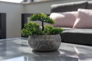 Posezení v ubytování Luxury Apartment Aria