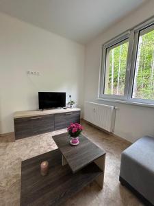 a living room with a television and a table with flowers at Apartmán pod Jáchymovem in Karlovy Vary
