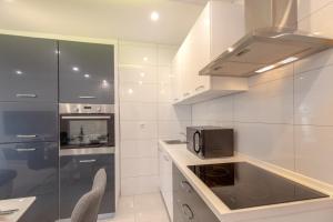 Kuchyň nebo kuchyňský kout v ubytování Luxury Apartment Aria
