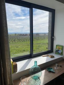 a window with a view of a field of grapes at Maison des Vendanges in Cesset