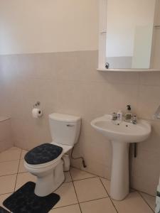 a bathroom with a toilet and a sink at Leonella Luxury Apartment in Northwold