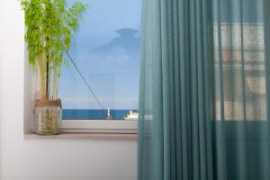 a window with a potted plant on a window sill at Dimora Nesea in Cozze