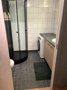 Koupelna v ubytování One bedroom apartment close to city centrum