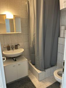 Koupelna v ubytování Aparta-Estudio en Voltaplatz
