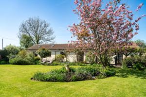 ein Haus mit einem blühenden Baum im Hof in der Unterkunft Tranquil 2 bed cottage Sidmouth, rural escape in Salcombe Regis