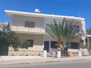 a house with a palm tree in front of it at Secret garden 03 in Mağusa +2 photos