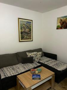 a living room with a couch and a table at Vila Fruškogorski Mir in Velika Remeta