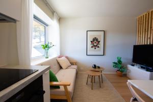 TV a/nebo společenská místnost v ubytování Apartment close to nature and the city