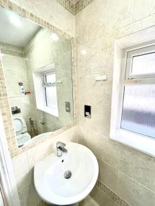 a bathroom with a sink and a mirror and a toilet at Urban Garden Hideaway in Dublin